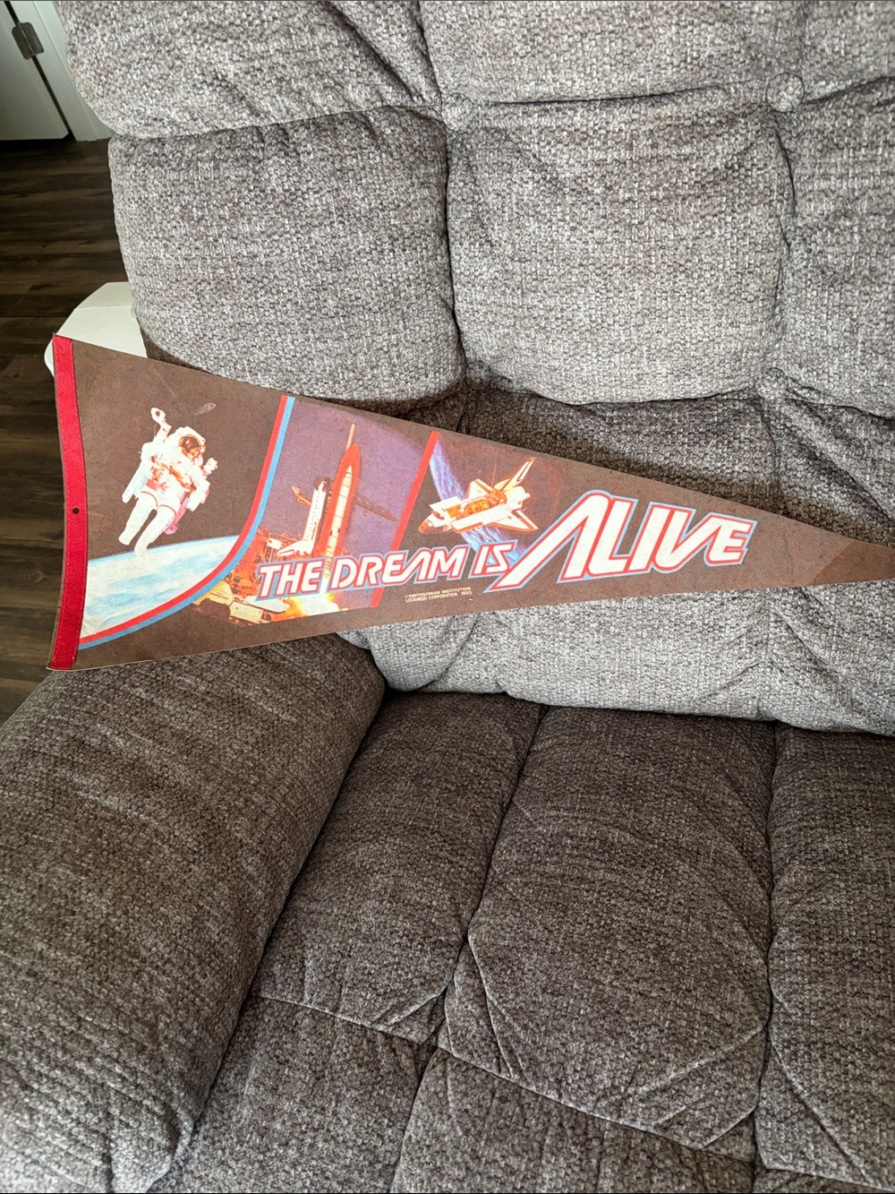 The Dream Is Alive Vintage Space Pennant - Brown/Red